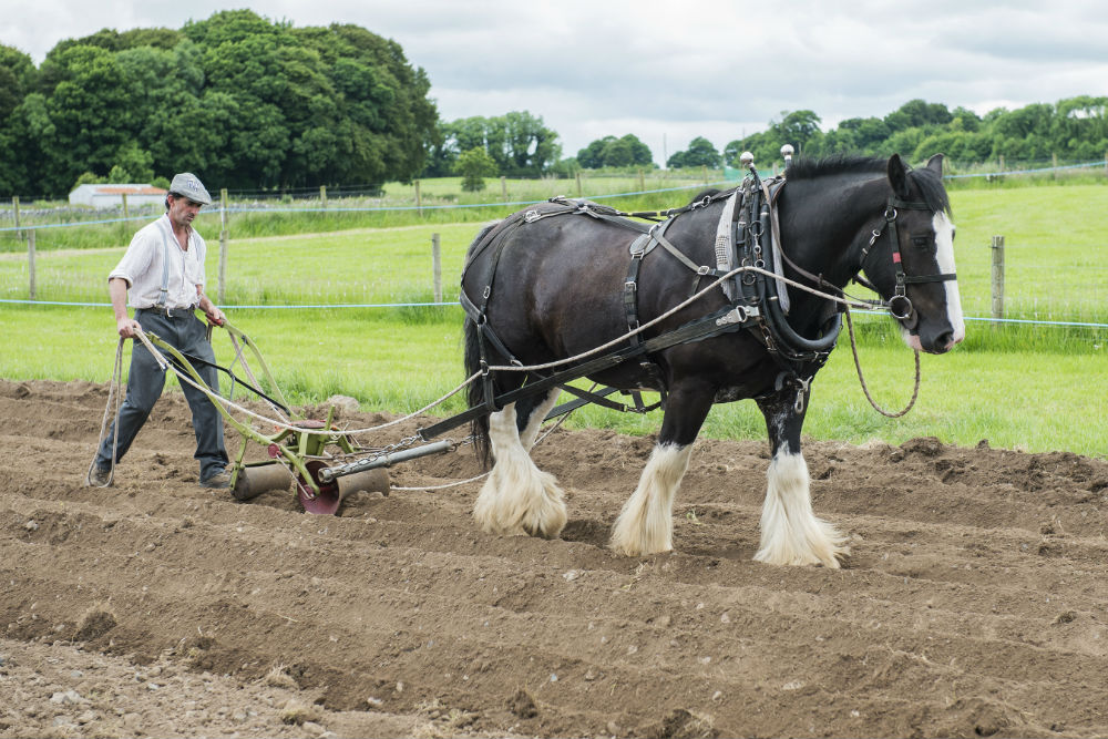 Teagasc Athenry 21