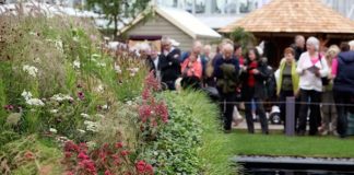RHS Hampton Court Palace Flower Show image