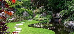 jenkinson landscape garden image