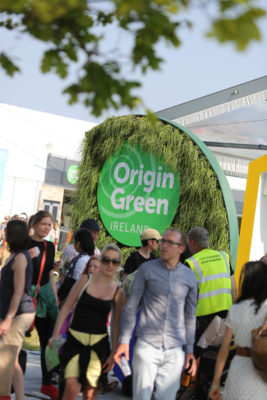 Origin Green, Crowds