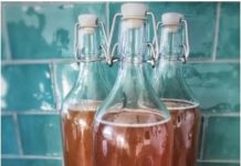 Fermented tomatoes in glass bottles