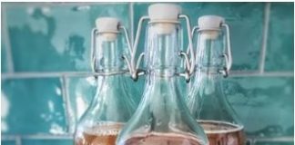 Fermented tomatoes in glass bottles