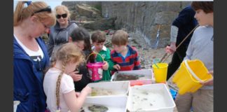 Rock pool picture with kids