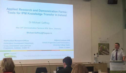 The author presenting findings from Irish research to the workshop attendees