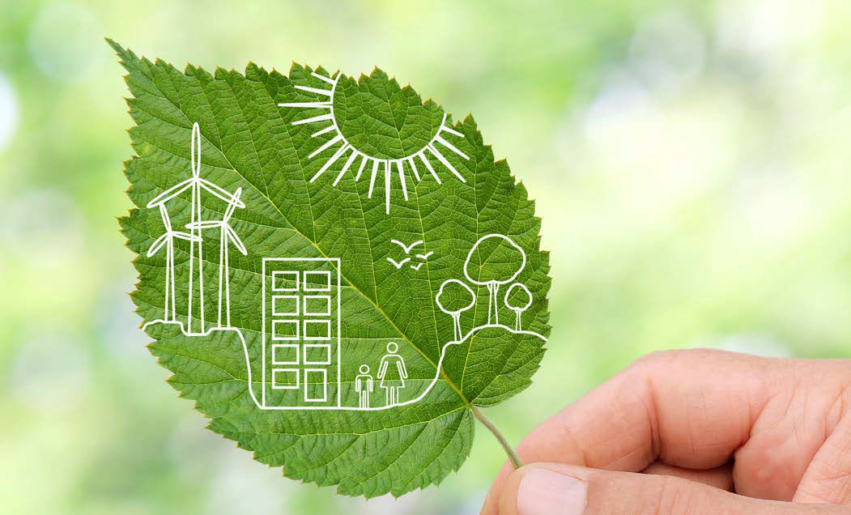Sustainable practices