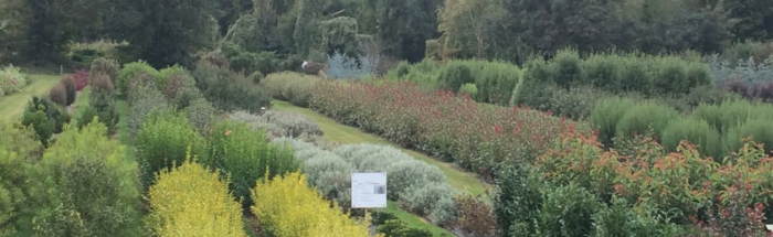 Field view of ornamental foliage species site Kildalton College