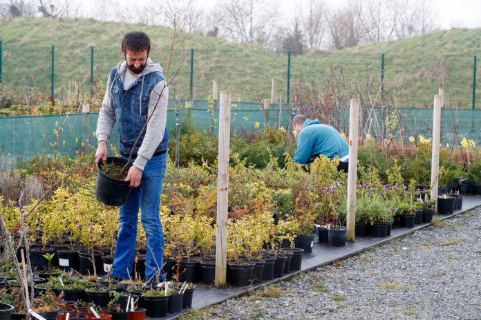 ITB student working with plants