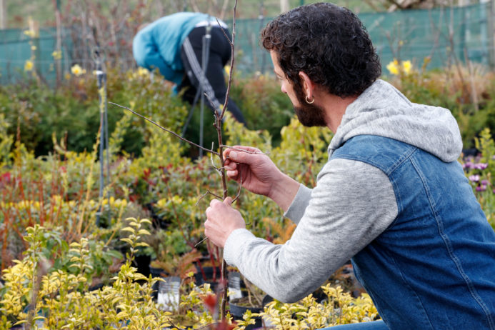 ITB student working with plants