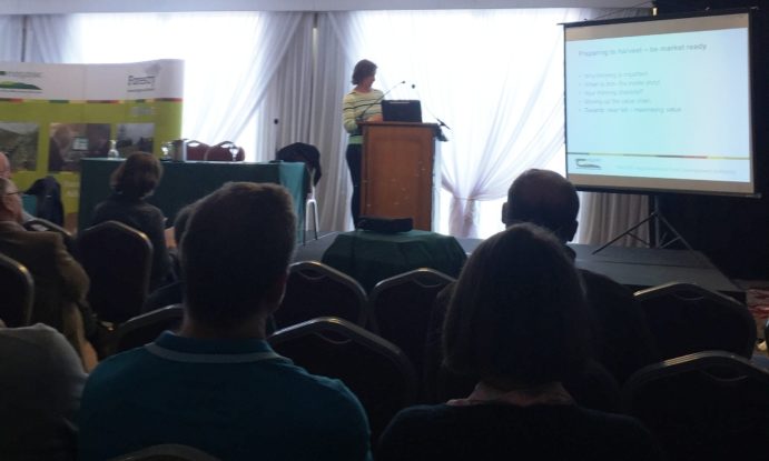 Frances McHugh presenting at Talking Timber 2018 in New Ross, Wexford