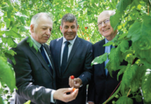 Admiring tomato varieties in the new glasshouse during the recent opening; Professor Gerry Boyle (Teagasc director), minister Andrew Doyle TD, Dr. Noel Cawley (Teagasc authority chairman)