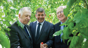 Admiring tomato varieties in the new glasshouse during the recent opening; Professor Gerry Boyle (Teagasc director), minister Andrew Doyle TD, Dr. Noel Cawley (Teagasc authority chairman)