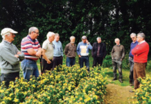 Andy Whelton discussing foliage production with growers in Co Wexford