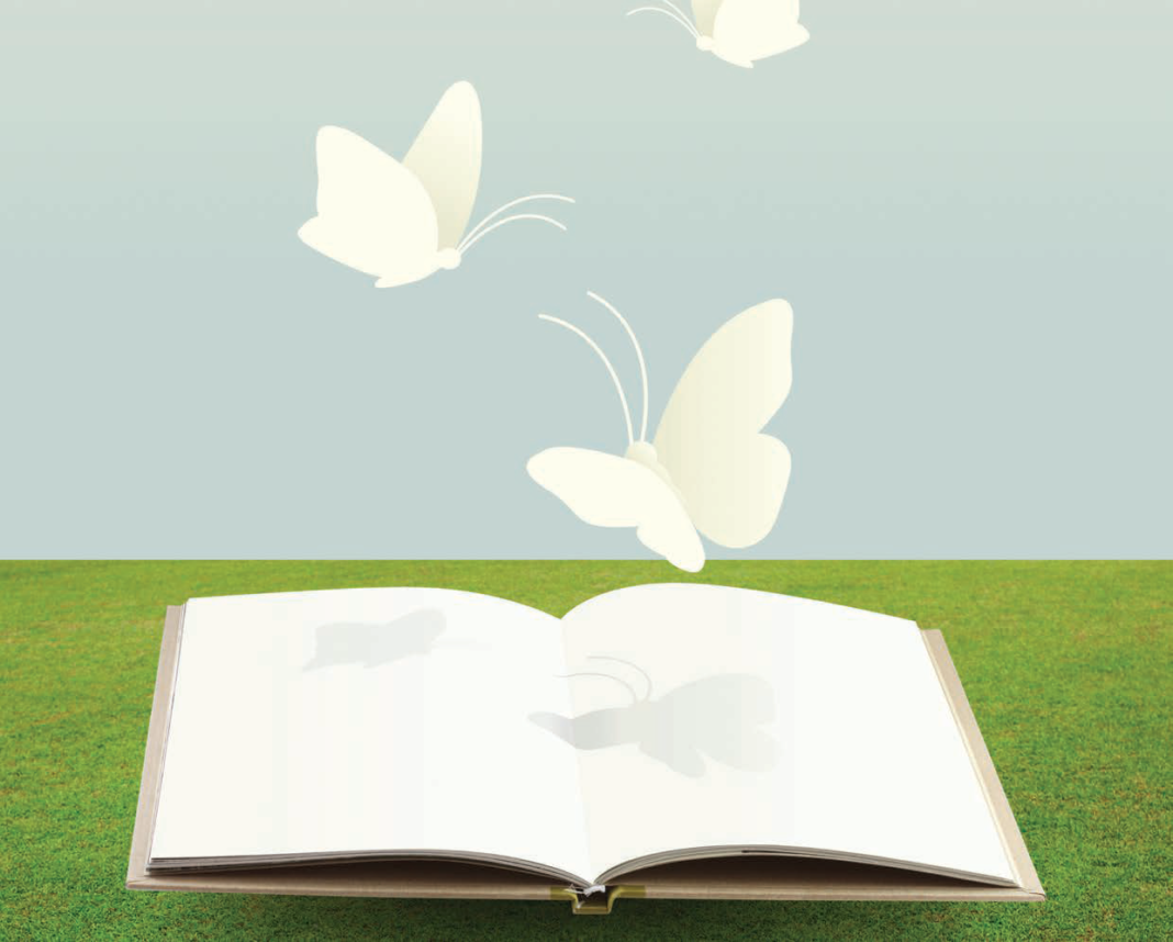 Butterflies and a book