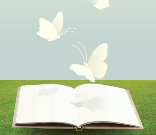 Butterflies and a book