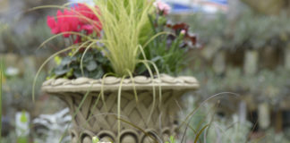 Sales in outdoor plant areas at garden centres across the country performed better than other categories in October.
