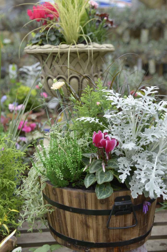 Sales in outdoor plant areas at garden centres across the country performed better than other categories in October.