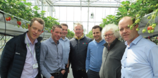 PICTURED AT THE SOFT FRUIT CONFERENCE IN TEAGASC ASHTOWN RECENTLY, L-R, EAMONN KEHOE, GARY MCCARTHY, MICHAEL GAFFNEY, LORCAN BOURKE, KEES VAN GIESSEN, JOHAN AELTERMAN, DERMOT CALLAGHAN