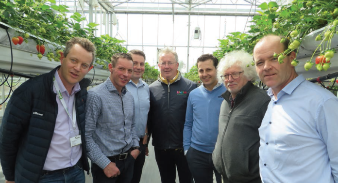 PICTURED AT THE SOFT FRUIT CONFERENCE IN TEAGASC ASHTOWN RECENTLY, L-R, EAMONN KEHOE, GARY MCCARTHY, MICHAEL GAFFNEY, LORCAN BOURKE, KEES VAN GIESSEN, JOHAN AELTERMAN, DERMOT CALLAGHAN