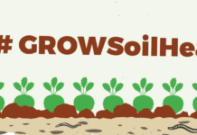 grow soil health