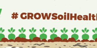 grow soil health