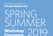 Spring-Summer-2019-Workshop-Programme.-600x848