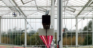 New led lights for strawberry research