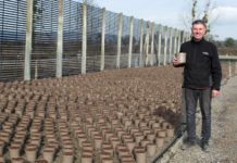 Steve Reed, Production Director of the Container Division at Wyevale Nurseries, with the Astilbes in the recyclable taupe plant pots.