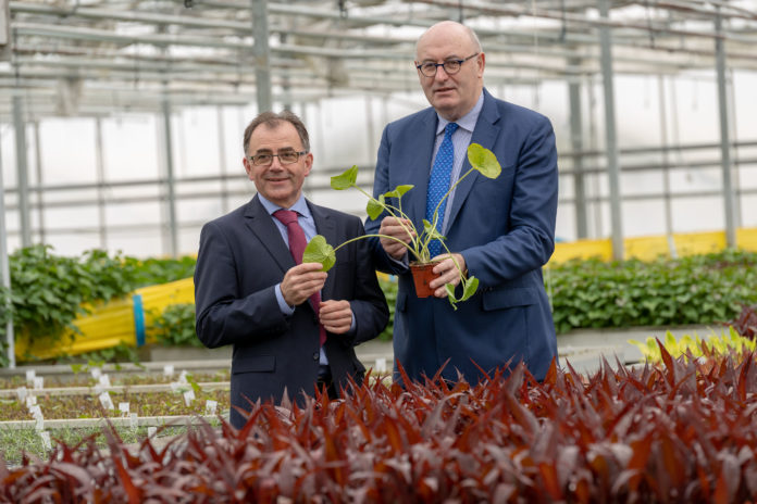 Beotanics is growing international reputation for innovation in niche food crop production across the world, is investing Û1 million in a new Research & Development Centre which includes a plant science laboratory, plant quarantine and R&D greenhouse at its headquarters in Stoneyford, Co Kilkenny. Pictured at the investment announcement were CEO and founder, Pat FitzGerald and European Commissioner for Agriculture and Rural Development, Phil Hogan. For more, visit www.beotanics.com Picture Dylan Vaughan.