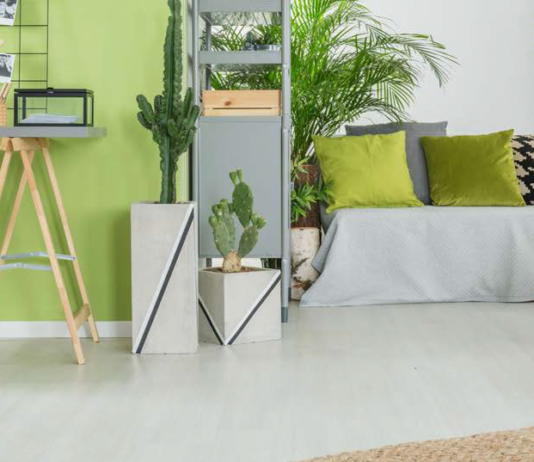 @KATARZYNA BIAŁASIEWICZ / 123RF.COM. An image of a room with a sofa, a table, plants etc.