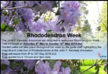 Rhododendron Week Photo
