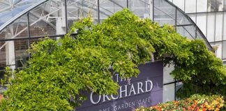 The Orchard image