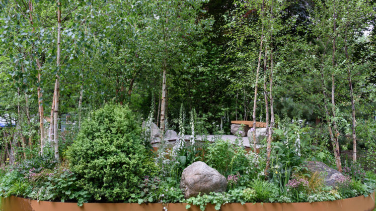 Best Artisan Garden Family Monsters Garden Designed by Alistair Bayford
