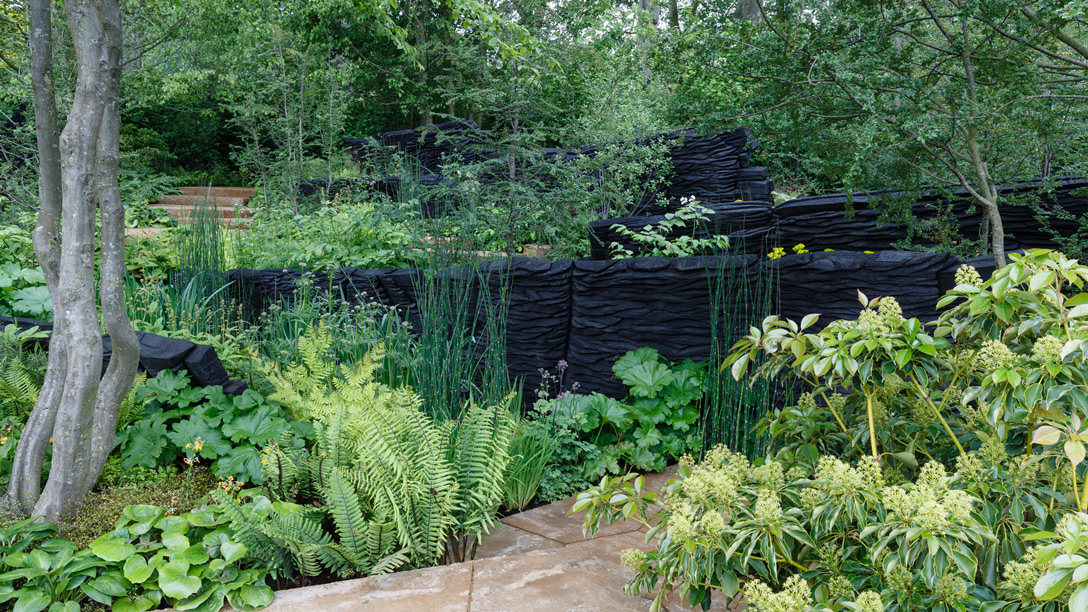 Rhs Chelsea Flower Show 2019 Winners Horticultureconnected Ie