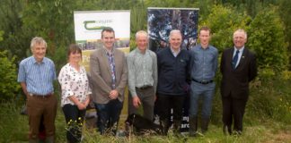 Pictured at the Launch of the 32rd RDS/Forest Service Irish Forestry Awards on the farm of Gerard Deegan (winner of the Teagasc Farm Forestry category 2018): Michael Carey, RDS Agriculture and Climate Change Committee; Olive Leavy, Westmeath Forest Owner Group; Rory Greene, DAFM; Gerard Deegan, Forest owner; Liam Kelly, Teagasc; Bernard Kiernan, MidWestern Forestry and Professor Gerry Boyle, Teagasc