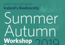Summer-Autumn-2019-Workshop-Programme