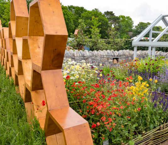 BLOOM GARDENS 2019 : DENNIS FLANNERY FINGAL COUNTY COUNCIL; PHOTO: VINCENT MCMONAGLE