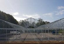 colm warren polyhouses multispan greenhouse