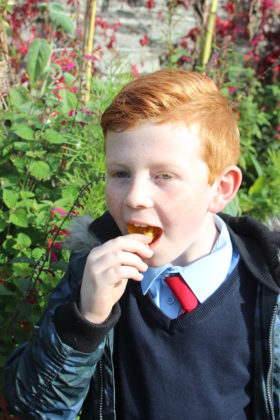 Pictured is pupil James Gill, who got to try an edible flower “Nasturtium”, growing in the gardens as part of the Incredible Edibles prize giving! The students got to explore the grounds, dig in to a planting workshop, and receive new seeds to bring back to their school. The school also received a sun bubble greenhouse for their own school garden as part of their prize. Visit www.incredibleedibles.ie to register today!