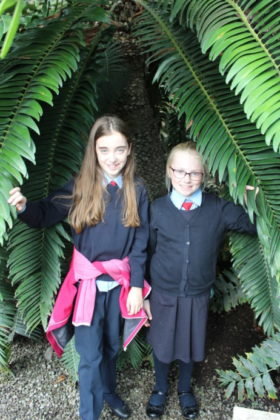 Pictured (L-R) are Emma Rose Brabazon and Lexi Owen peered between the leaves of the oldest and last known Jurassic Tree in the world, located in the Palm House of the Botanical Gardens! The students got to explore the grounds, dig in to a planting workshop, and receive new seeds to bring back to their school. The school also received a sun bubble greenhouse for their own school garden as part of their 2019 Incredible Edibles prize. Visit www.incredibleedibles.ie to register today!