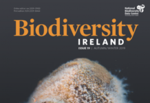 Biodiversity-Ireland-Issue-19-WEB-724x1024
