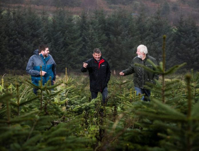 Minister Doyle visited Wicklow Way Christmas Tree Farm run by the Kinlan family.
