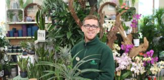 Liam Cleary, Garden Care Manager at The Old Railway Line Garden Centre, with some houseplants.