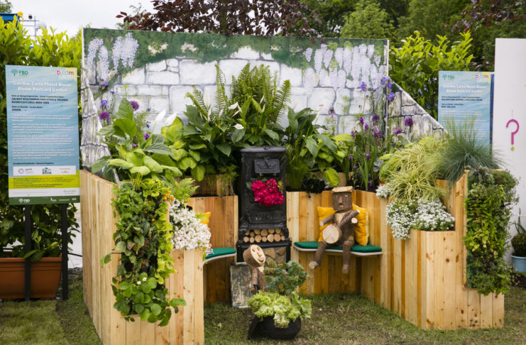 Calling all Longford gardeners to apply for Bloom in the Park 