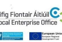 Local Enterprise Office logo