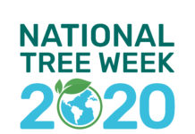 National-Tree-Week-2020-Logo