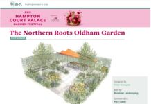 rhs-hampton-2020-peter-donegan-northern-roots-garden