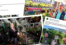 Virtual garden tours and personal online advice is the new way of business