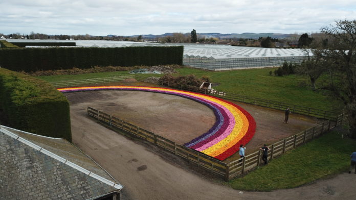 Florainbow of Hope from Scottish industry