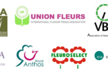 UNION FLEURS (International Flower Trade Association), ENA (European Nurserystock Association), ARELFH (Assembly of European Horticultural Regions), VBN (Association of Dutch Flower auctions), VAL’HOR – French inter-branch organisation for ornamental horticulture (growers, nurseries, seeds companies, garden centres, wholesalers, florists, agro-shops, landscape contractors and landscape architects), ANTHOS (Royal Trade Association for Flower Bulbs), CIOPORA (International Association of Breeders of Asexually Reproduced Horticultural Varieties), FLEUROSELECT (International Association of breeders, producers and distributors of propagation material of ornamental plants) and ELCA (European Landscape Contractors Association) logos