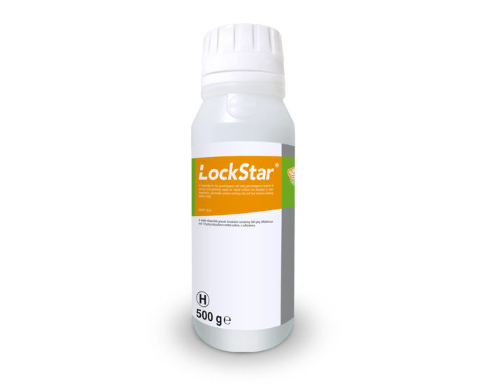 ICL-Lockstar